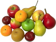 fruit